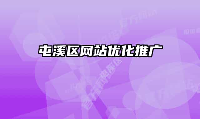 屯溪区网站优化推广