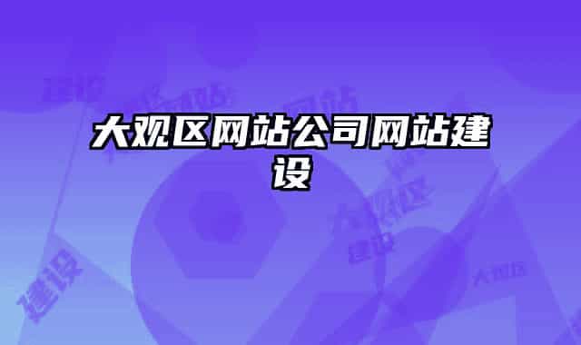 大观区网站公司网站建设