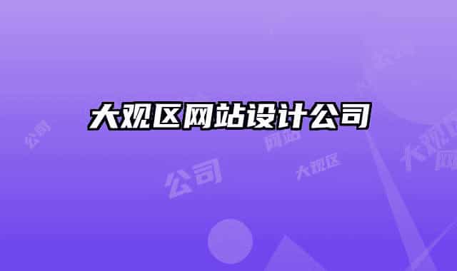 大观区网站设计公司