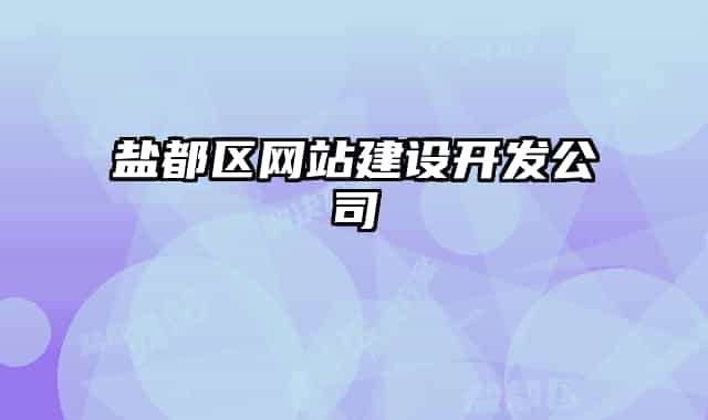 盐都区网站建设开发公司
