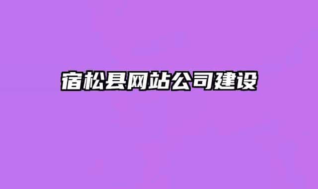 宿松县网站公司建设