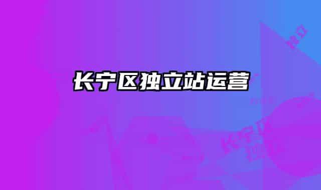 长宁区独立站运营