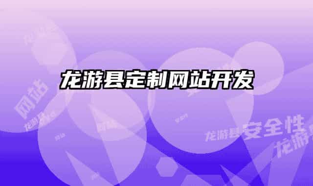 龙游县定制网站开发
