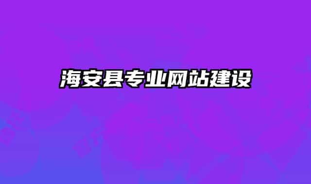 海安县专业网站建设