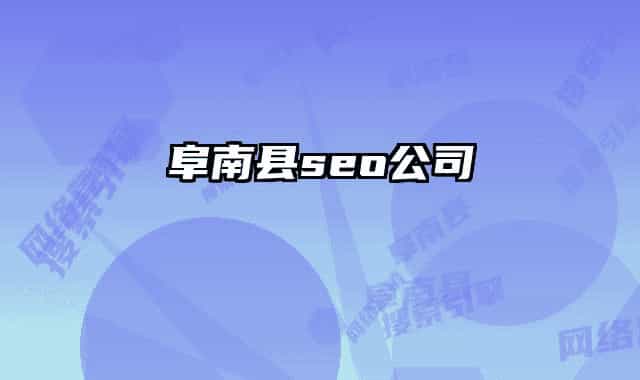 阜南县seo公司