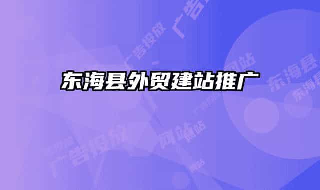 东海县外贸建站推广