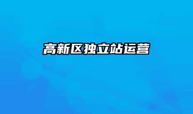 高新区独立站运营
