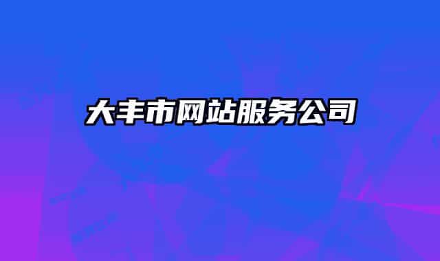 大丰市网站服务公司