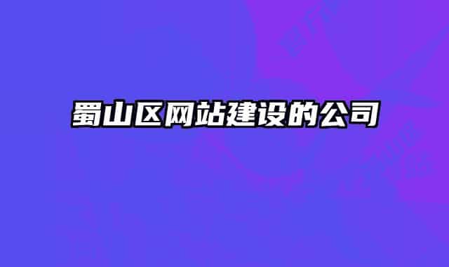 蜀山区网站建设的公司
