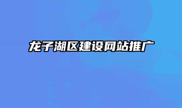 龙子湖区建设网站推广