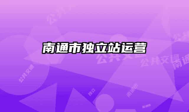 南通市独立站运营