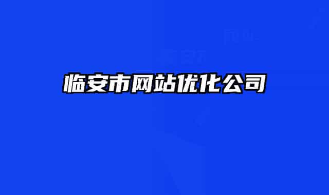 临安市网站优化公司