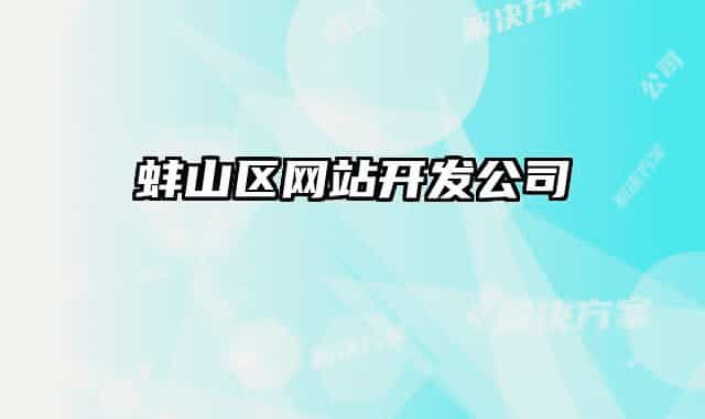 蚌山区网站开发公司