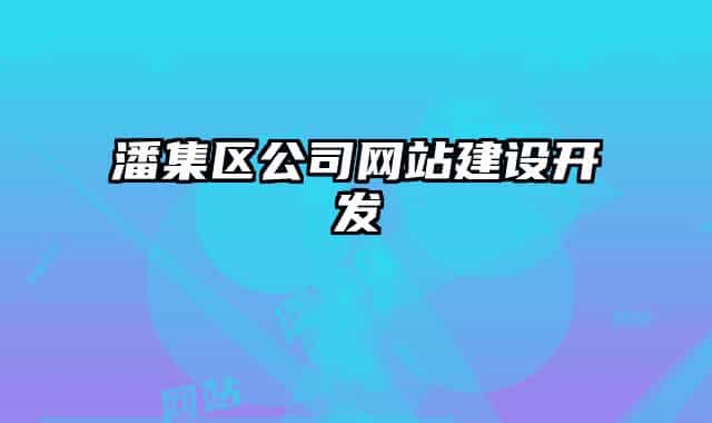潘集区公司网站建设开发