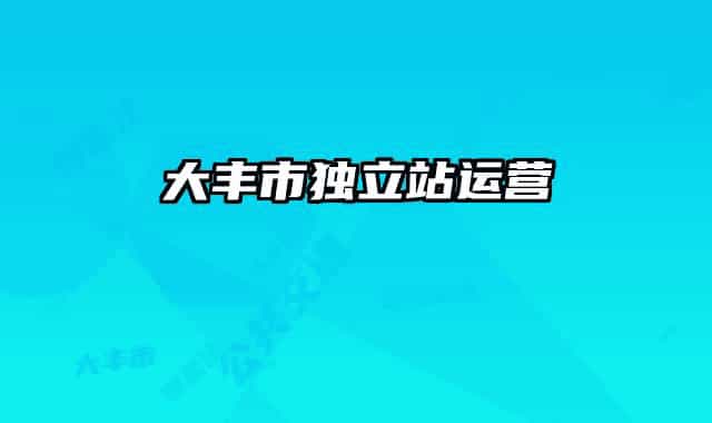 大丰市独立站运营