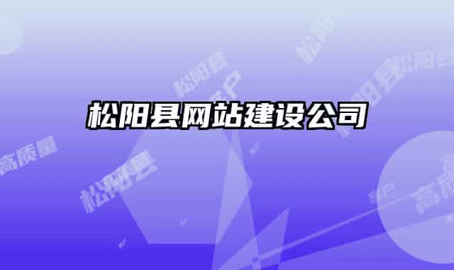 松阳县网站建设公司