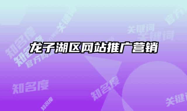 龙子湖区网站推广营销