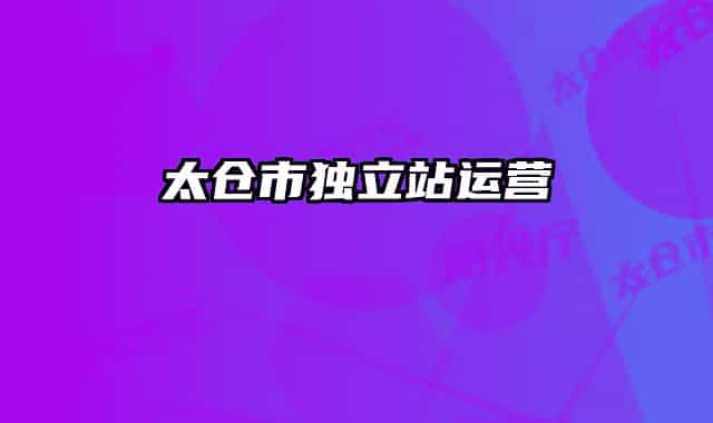 太仓市独立站运营