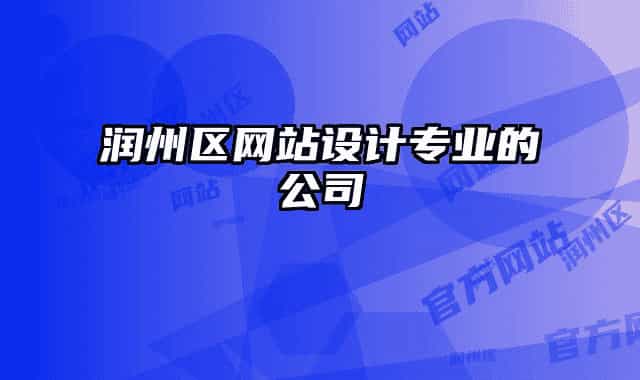 润州区网站设计专业的公司