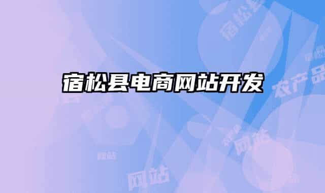 宿松县电商网站开发