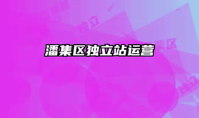 潘集区独立站运营