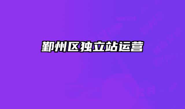 鄞州区独立站运营