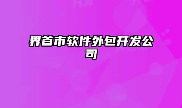 界首市软件外包开发公司