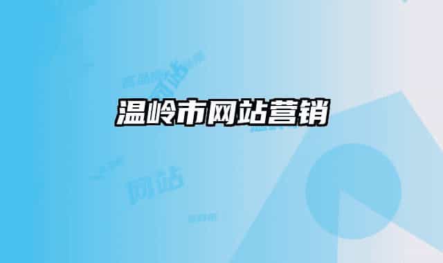 温岭市网站营销