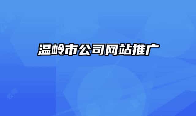 温岭市公司网站推广