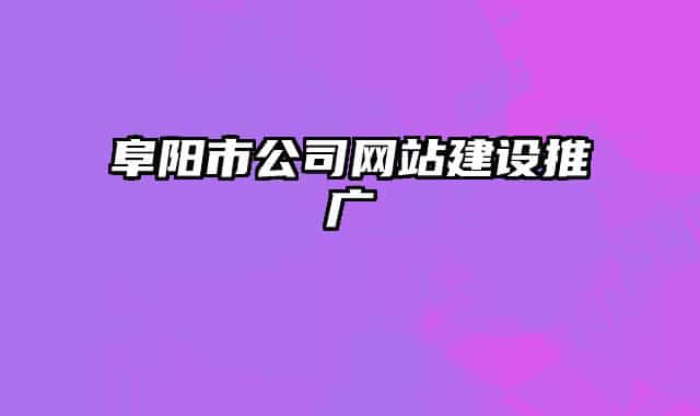 阜阳市公司网站建设推广