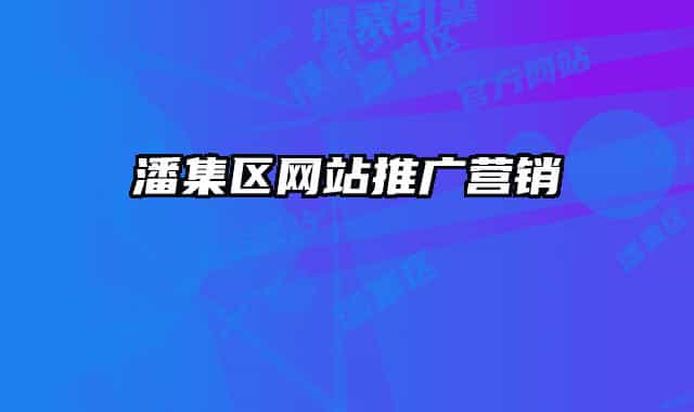 潘集区网站推广营销