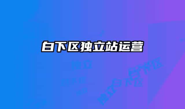 白下区独立站运营