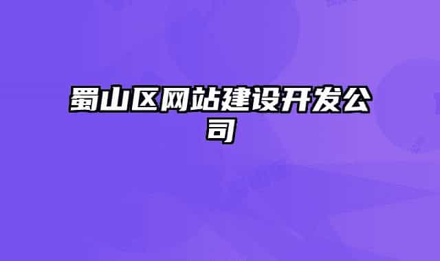 蜀山区网站建设开发公司