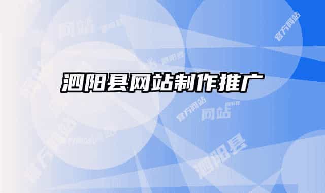 泗阳县网站制作推广