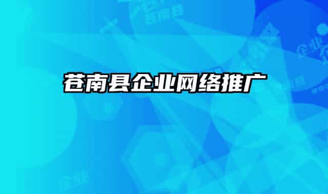 苍南县企业网络推广