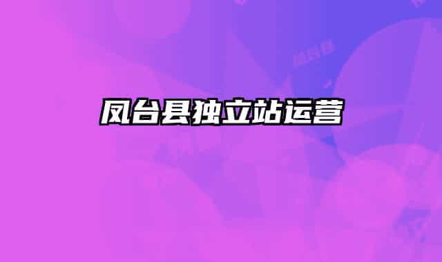 凤台县独立站运营