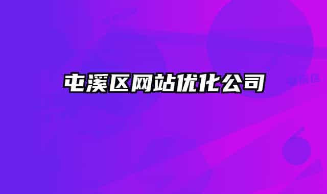 屯溪区网站优化公司