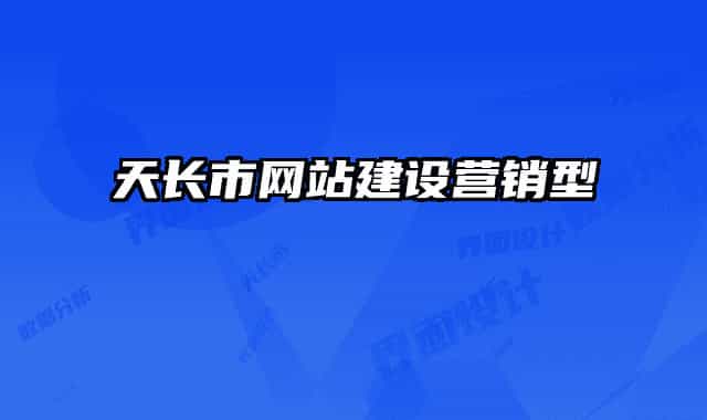 天长市网站建设营销型