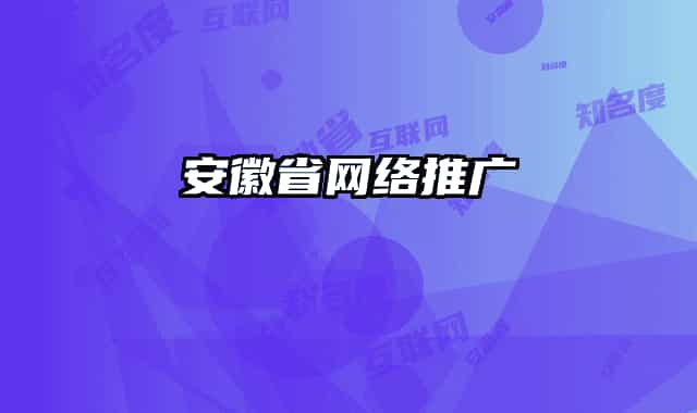 安徽省网络推广