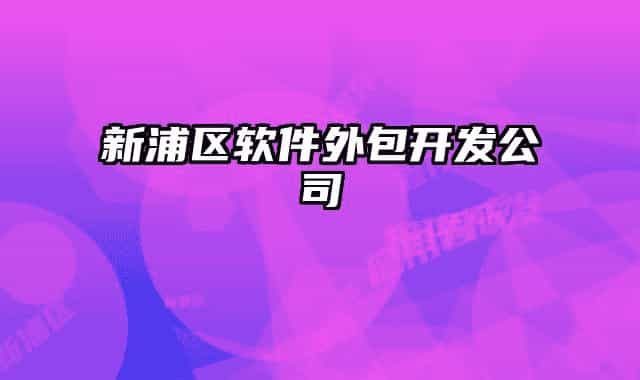 新浦区软件外包开发公司