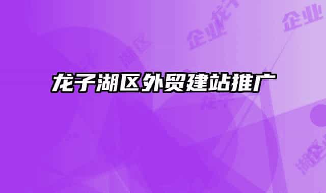 龙子湖区外贸建站推广