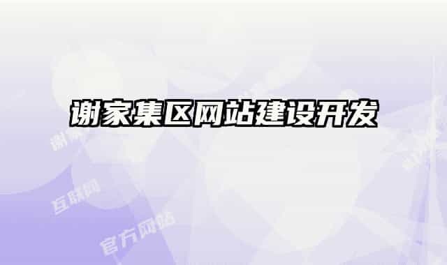 谢家集区网站建设开发