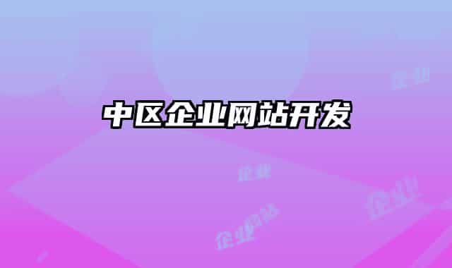 中区企业网站开发