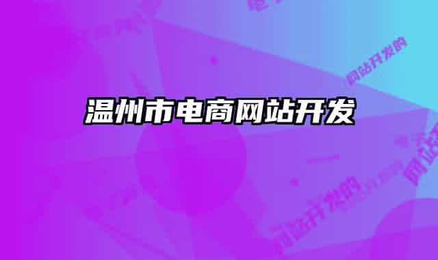 温州市电商网站开发