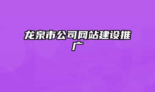 龙泉市公司网站建设推广