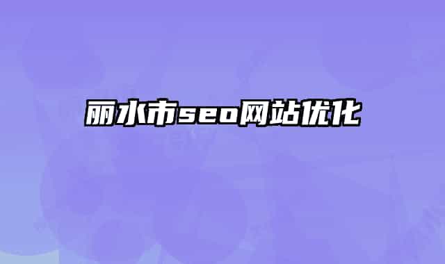 丽水市seo网站优化