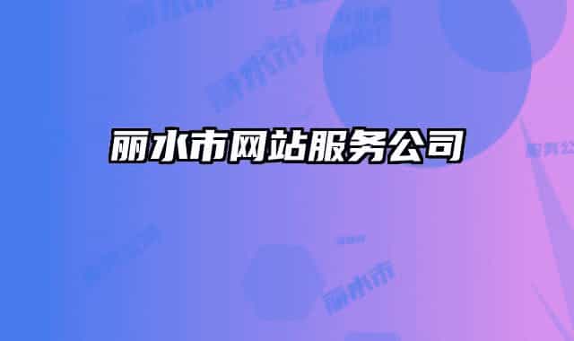 丽水市网站服务公司