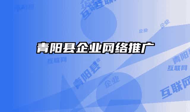 青阳县企业网络推广