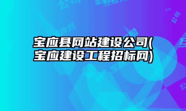 宝应县网站建设公司(宝应建设工程招标网)