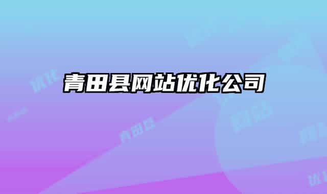 青田县网站优化公司
